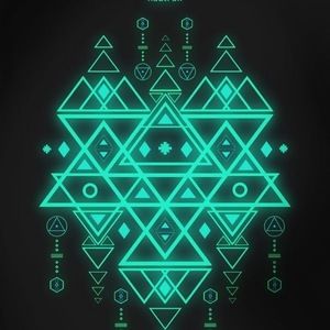 Meet your Posher, Graffitiart